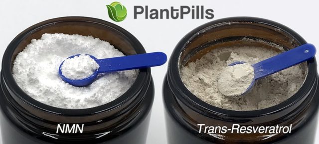 plantpills nmn powder and resveratrol powder