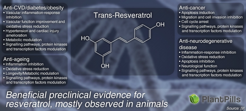 Micronized Trans-Resveratrol Powder Function